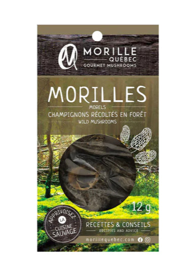 Morilles Morilles Québec